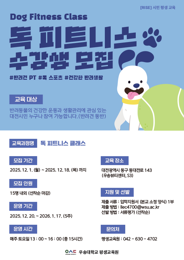 독 피트니스 모집